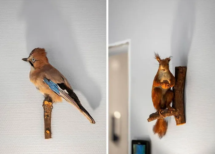 Oh332-hadsund-enebaervaenget-5